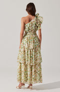 Imelda One Shoulder Floral Maxi Dress