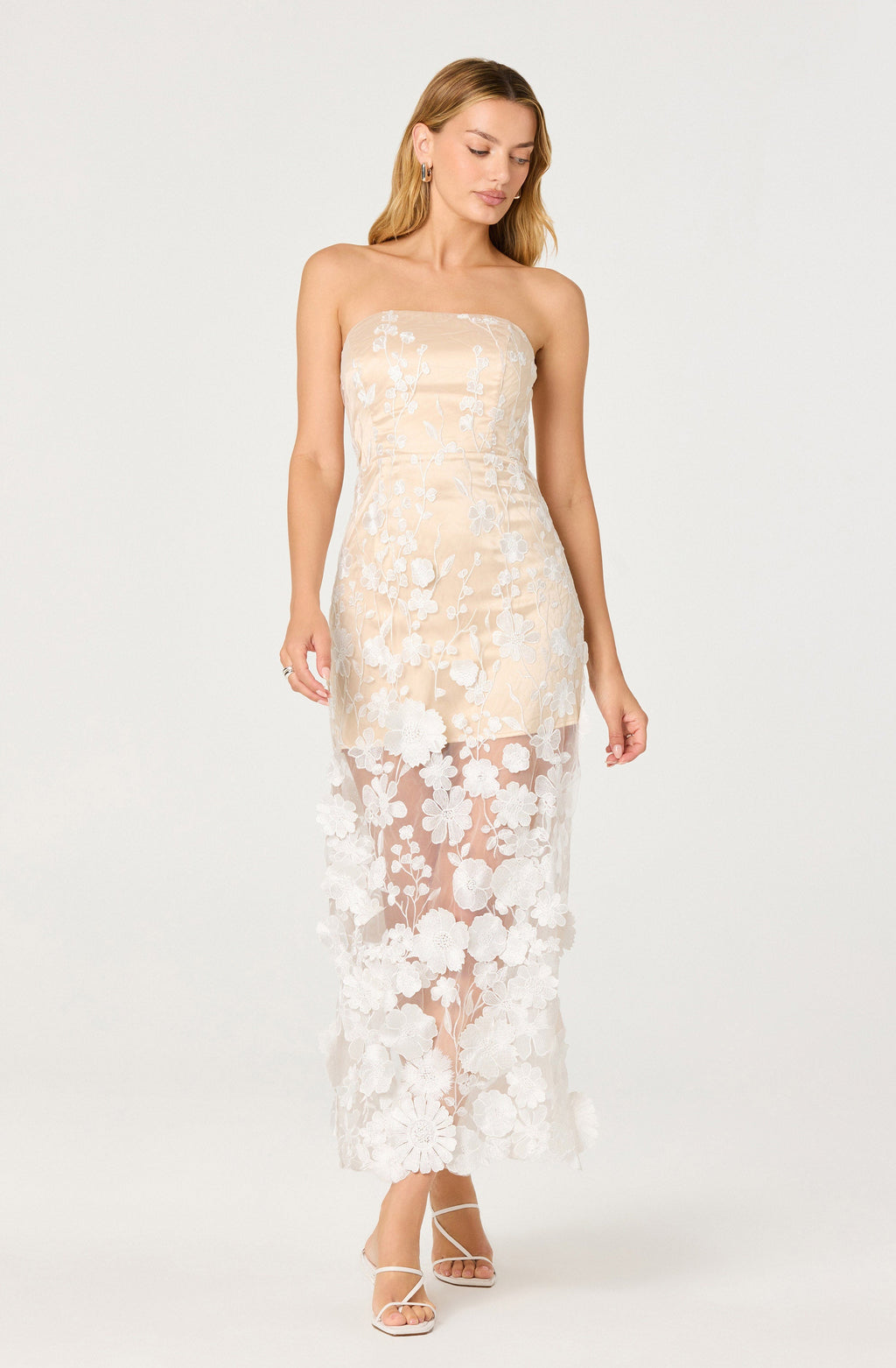 Tanisha Embroidered Floral Strapless Maxi Dress