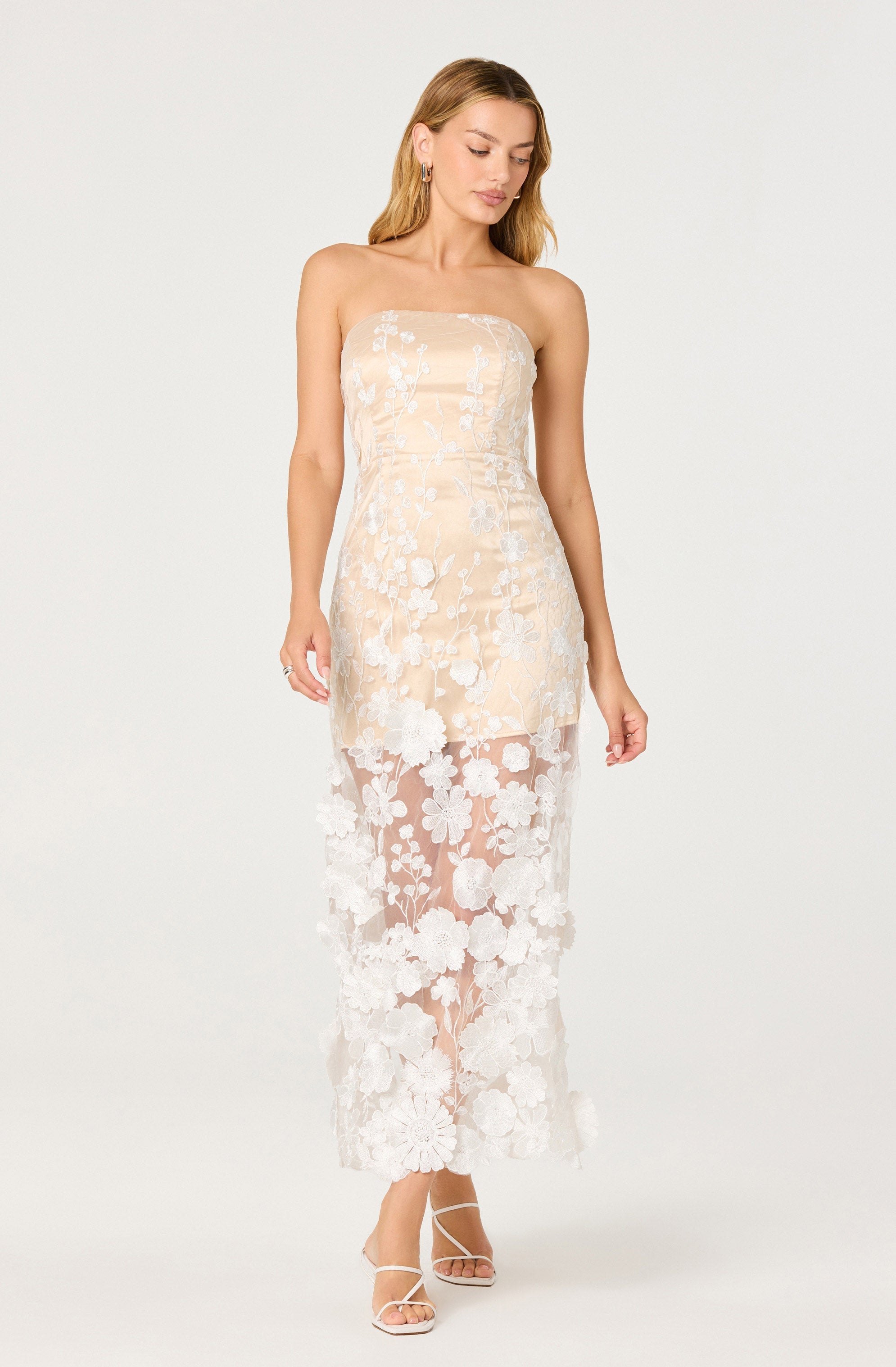 Tanisha Embroidered Floral Strapless Maxi Dress